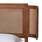 Baxton Studio Eridian MidCentury Modern Walnut Brown Finished Wood and Natural Rattan Queen Size Platform Bed 222-11891-ZORO - alternate 7
